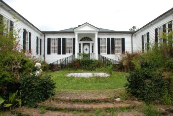 Admittedly the property needs some tending, pruning, weeding, but you can see that it has good bones, and this courtyard was once a very friendly space to wander amongst the garden. It could be again.