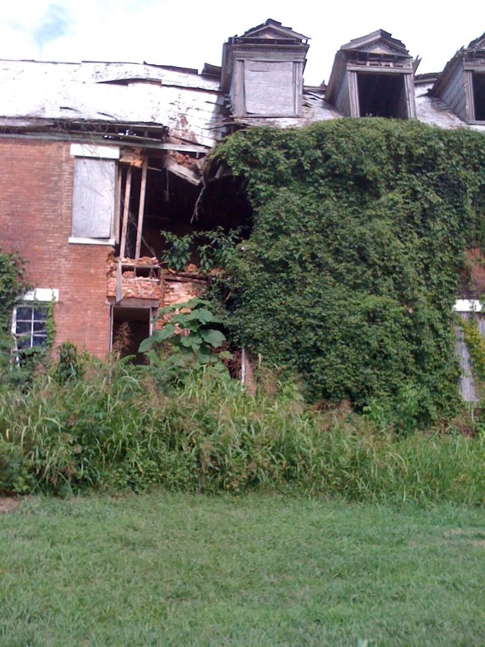 Catherine Hall back 09