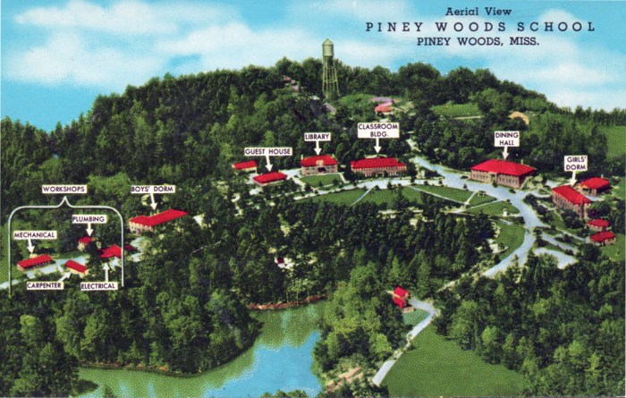 PineyWoodsSchoolAerial_1024