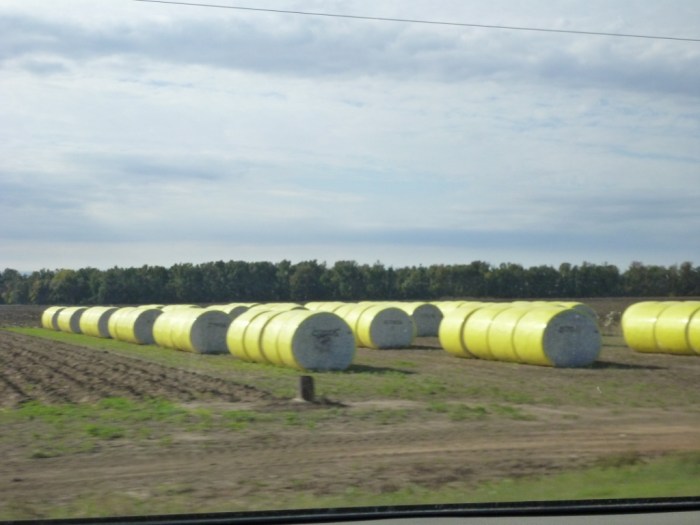 Cotton Bales in the Fields