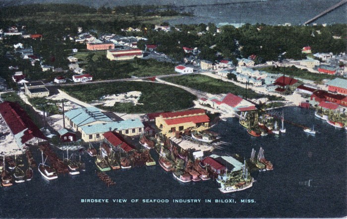 BiloxiSeafoodIndustryAerial.jpeg