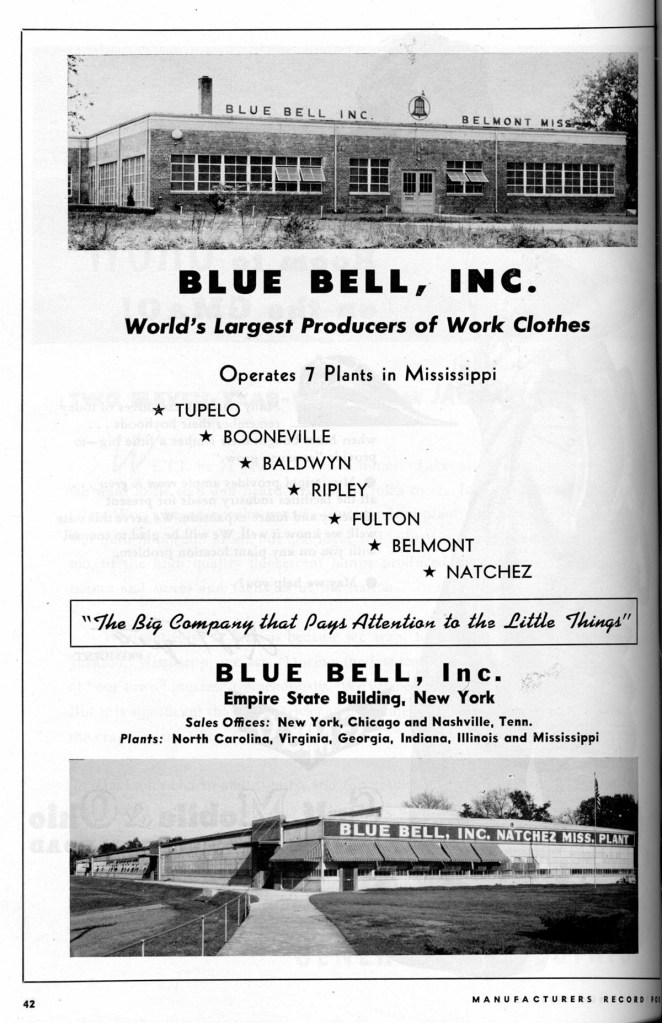 BlueBell1951