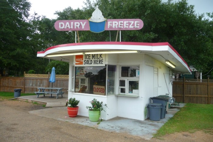 Dairy Freeze. Crystal Springs, Copiah Co. Miss August 2016 (4)