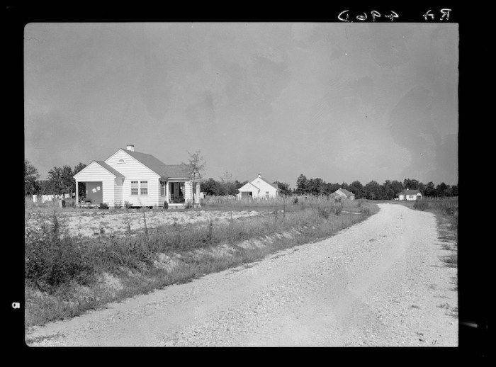 tupelo homesteads 3